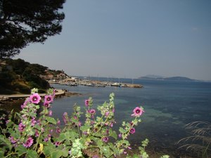 L'automne à le mas de la gavaresse